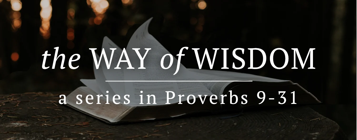 Proverbs 16:16 - Value of wisdom - Faith, Hope & Joy